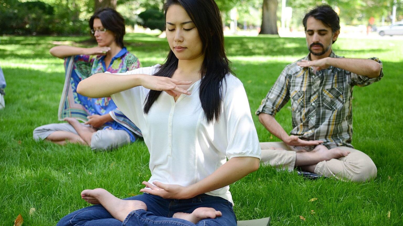 Praticanti della Falun Dafa meditano in un parco a Toronto, Canada (Fonte: Falundafa.org)